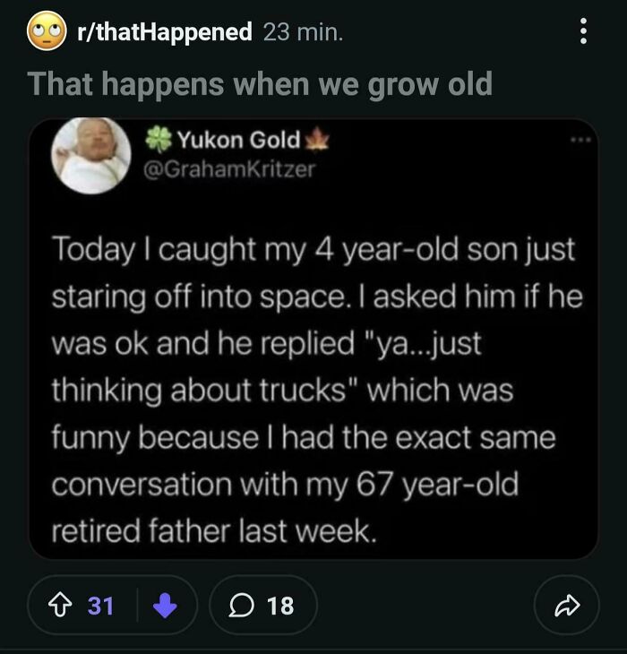 A Reddit post about a 4-year-old and 67-year-old both staring into space thinking about trucks, calling out others for lying.