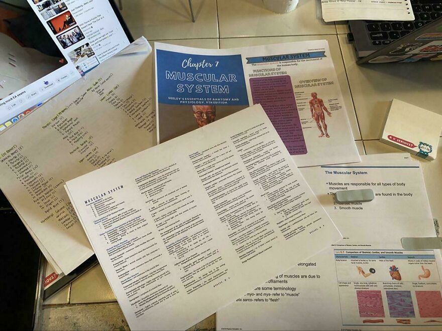 A desk with books and papers about the muscular system, highlighting a side hustle related to academic support.