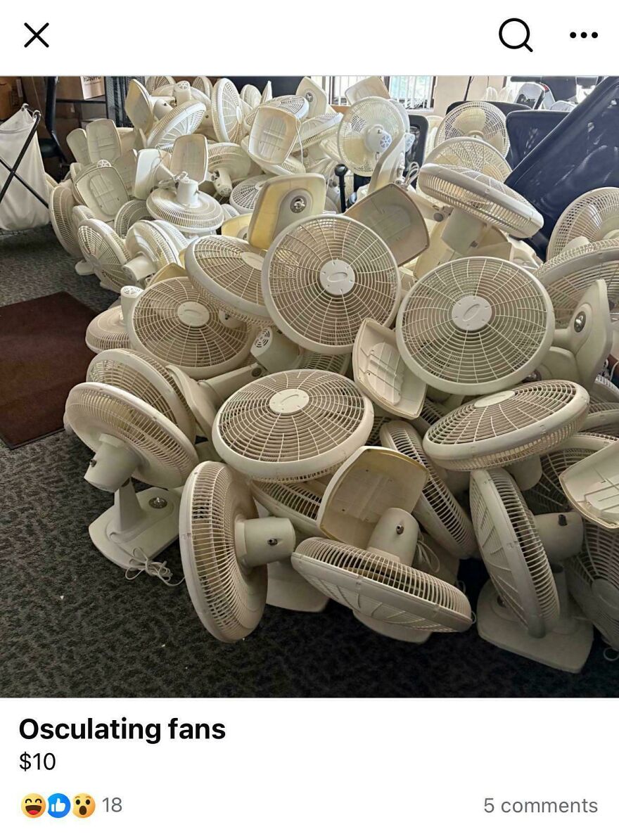 That's A Whole Lot Of Fans