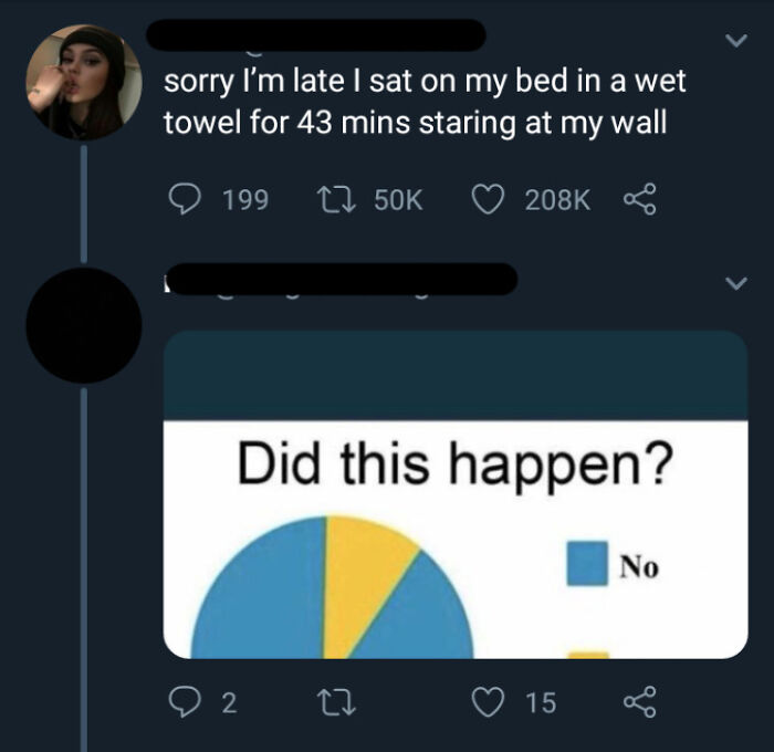 A tweet about people lying, with a poll asking Did this happen? showing a large No response, indicating skepticism.