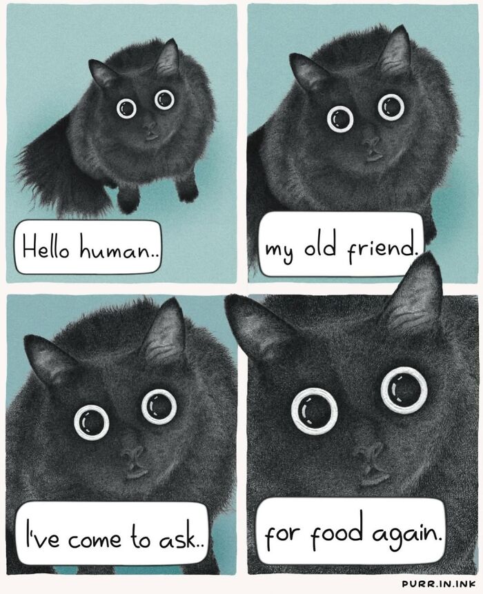 Adorable illustrations of a black cat asking for food, capturing common cat behavior with large, pleading eyes.