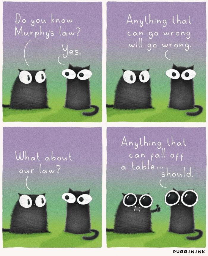 Adorable illustrations of two black cats discussing Murphy's Law and a cat's law about things falling, depicting cat behavior.