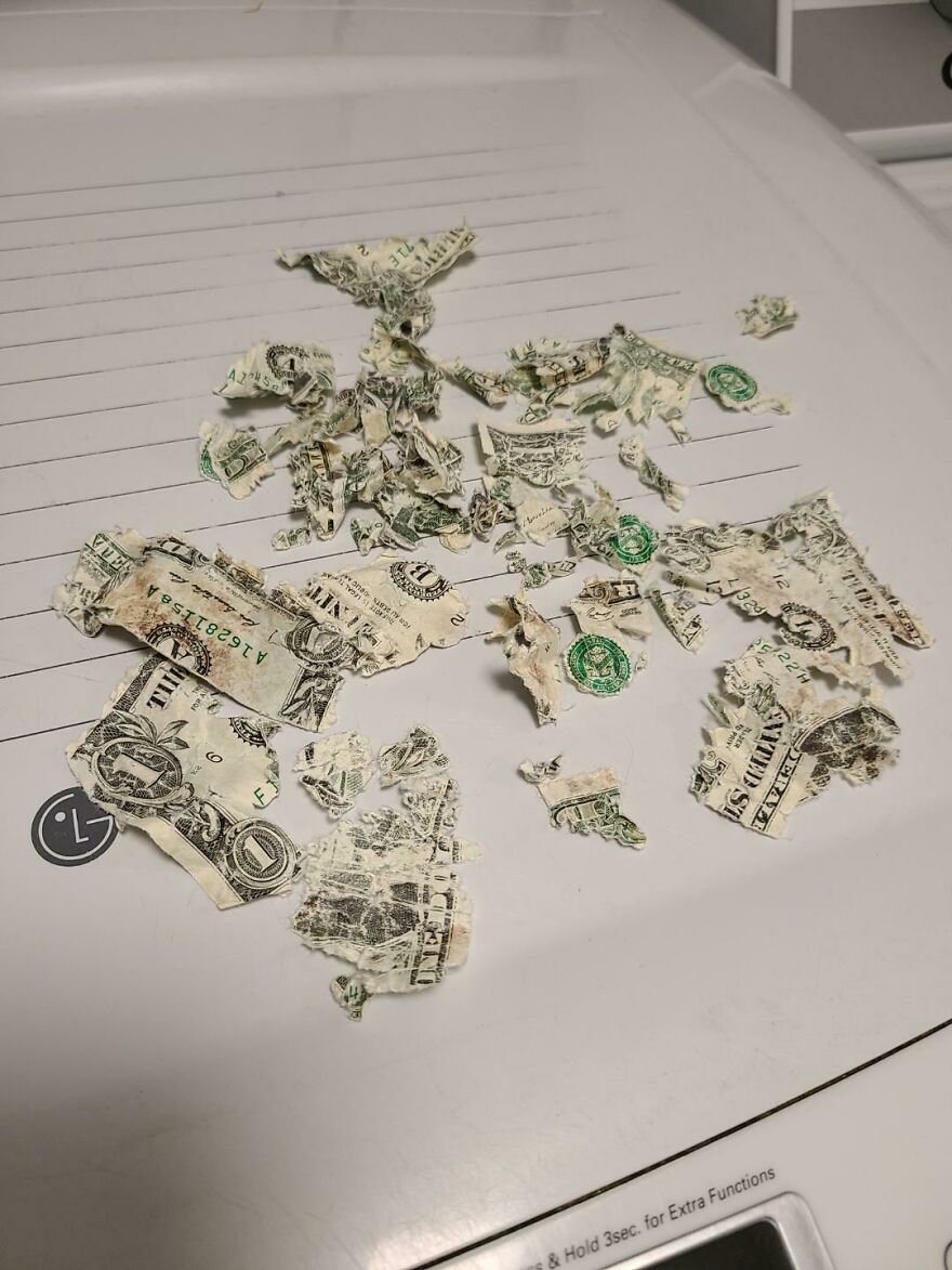 Shredded dollar bills, a funny unfortunate regret fail.