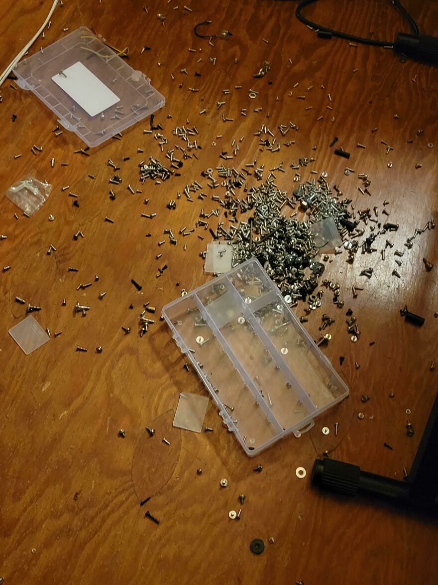 Screws scattered across a wooden floor from an overturned organizer, a funny unfortunate regret fail.