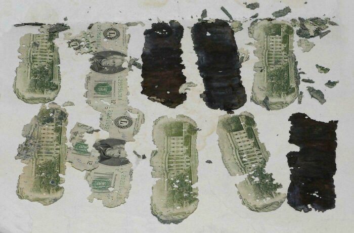 Beautifully preserved historical photo of torn and waterlogged dollar bills, possibly recovered from a disaster.