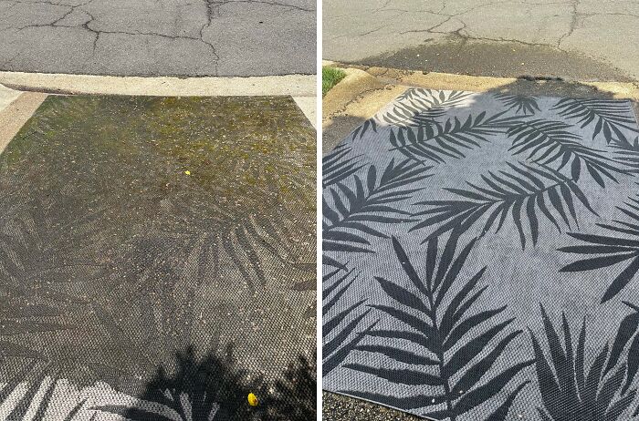Satisfying power washing before and after of an outdoor rug, revealing its clean palm leaf design.