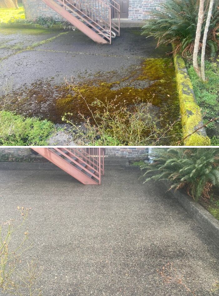 Satisfying power washing before and after of a concrete path covered in moss, now clean.