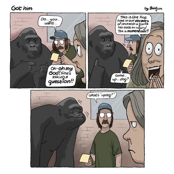 A comic about a gorilla asking What's Updog?, an example of dark humor.