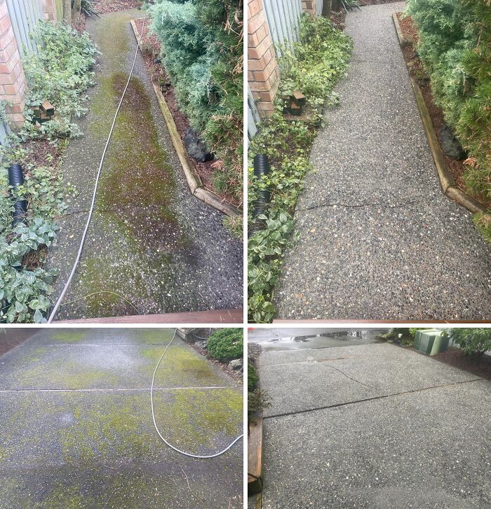 Satisfying power washing of a mossy pathway and driveway, showing the removal of green growth and debris for a cleaner surface.