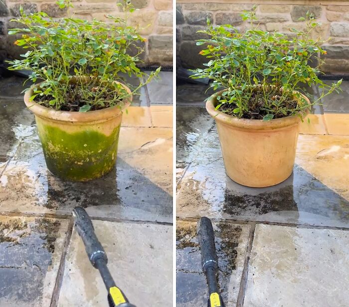 A power washing transformation of a dirty planter and patio stones, showcasing a clean, renewed appearance.