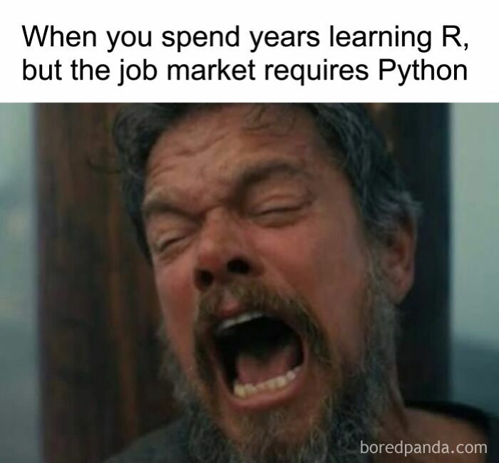 A statistics meme with a man crying and screaming, When you spend years learning R, but the job market requires Python.