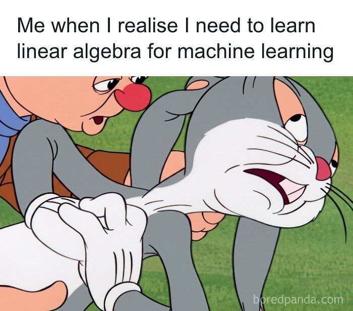 Bugs Bunny looking stressed as Elmer Fudd pulls him, illustrating learning linear algebra for machine learning, a stats class meme.