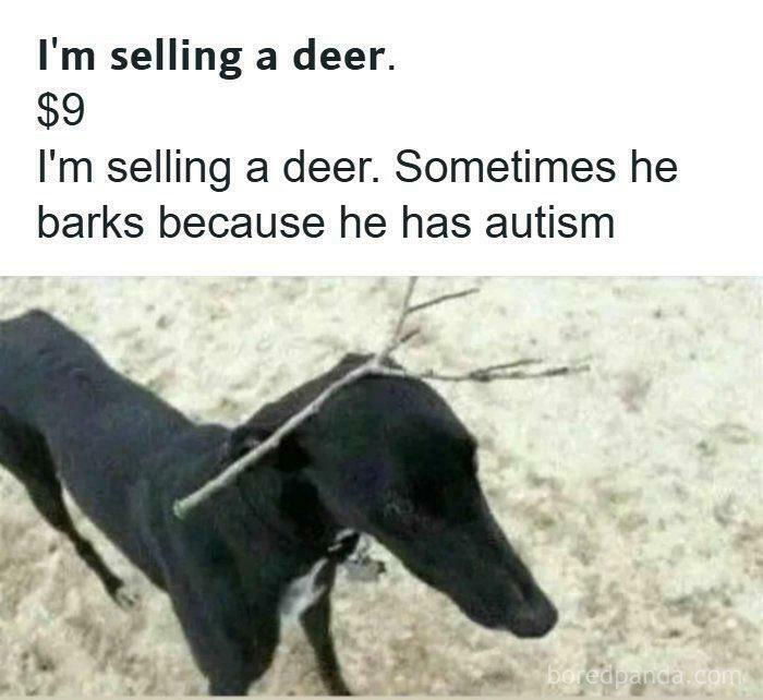 A humorous meme featuring a dog with sticks on its head, advertised for sale as a 'deer' as one of many random jokes.
