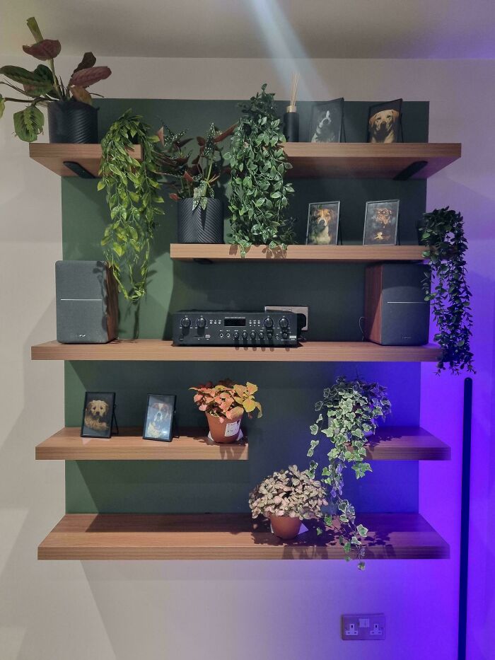 Stylish living room with floating shelves adorned with plants, framed photos, and audio equipment, enhancing home decor.