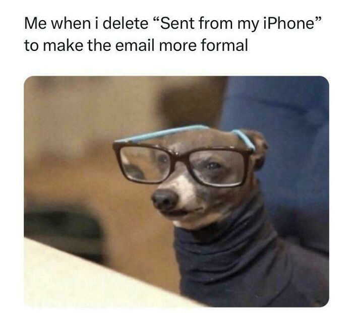 A small dog wearing glasses and a black turtleneck, looking serious, representing funny random jokes for a laugh.