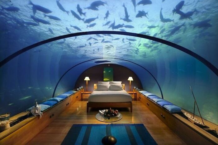 An underwater bedroom with fish swimming above, a fascinating find that the internet can show us.
