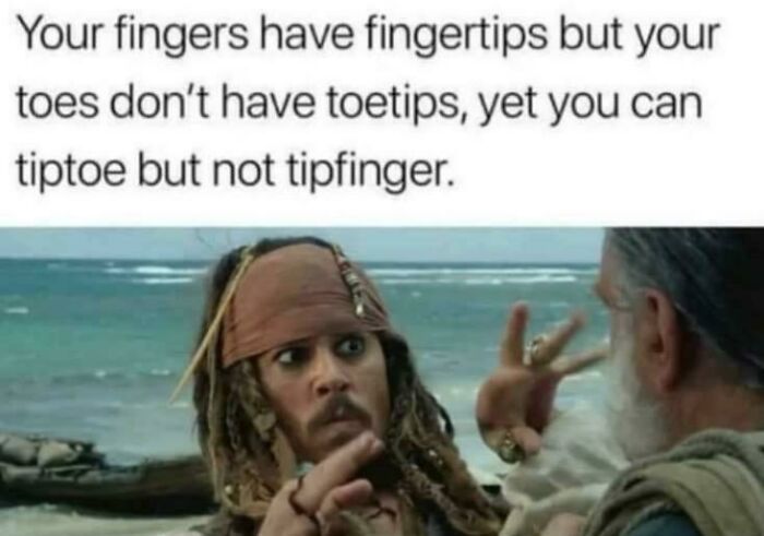 A meme with Captain Jack Sparrow looking confused by a statement about fingers and toes. Fascinating finds.