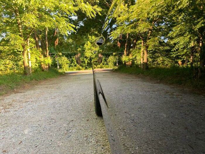 A low-angle shot of a car's side mirror reflecting a gravel road lined with trees, a fascinating find from a unique perspective.