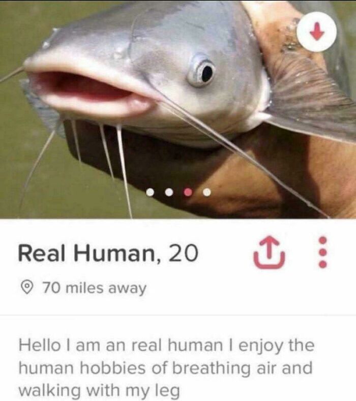 A dating app profile meme with a fish, part of 75 random jokes for a laugh.