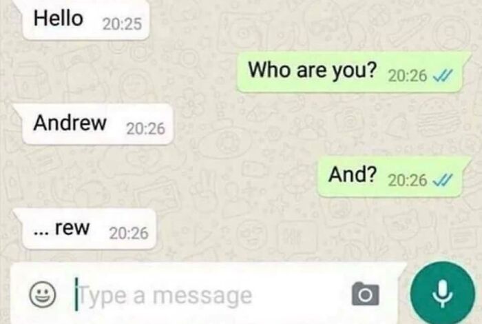 An unhinged text exchange featuring a person asking Who are you? and the other person replying with a truncated name. These fictional text exchanges are truly hilarious.