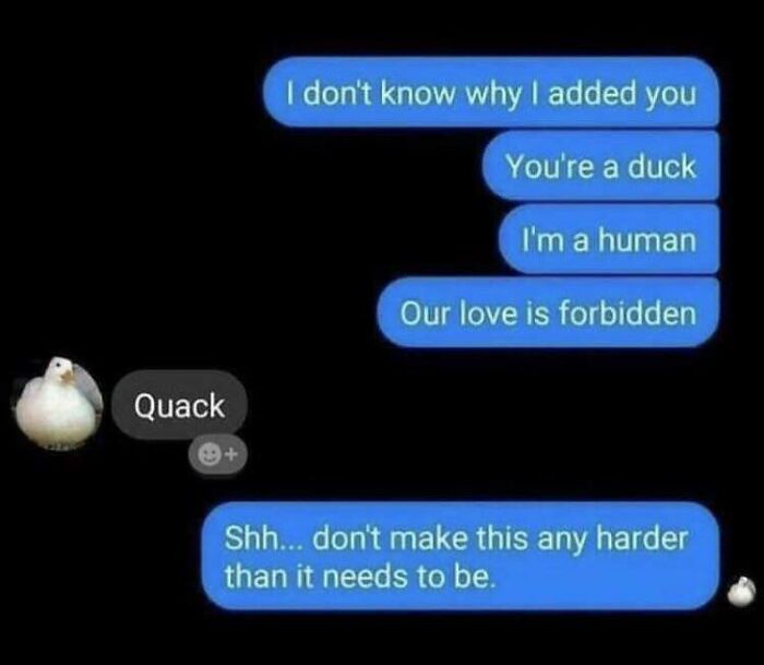 A fictional text exchange between a human and a duck, hilariously discussing their forbidden love.