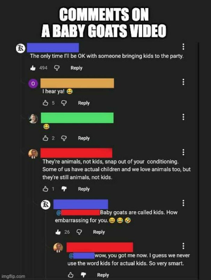 Hilarious moment of people being wrong, discussing baby goats called kids in a social media comment section.