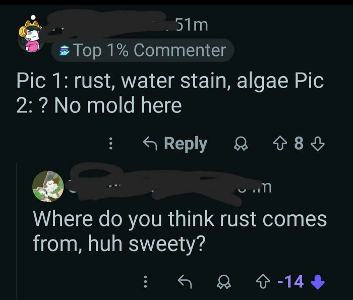 A Reddit comment exchange where someone confidently states where rust comes from, showing people being wrong.