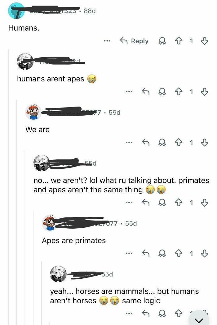 A cringe and hilarious moment of people being wrong while discussing humans and apes in a comment section.