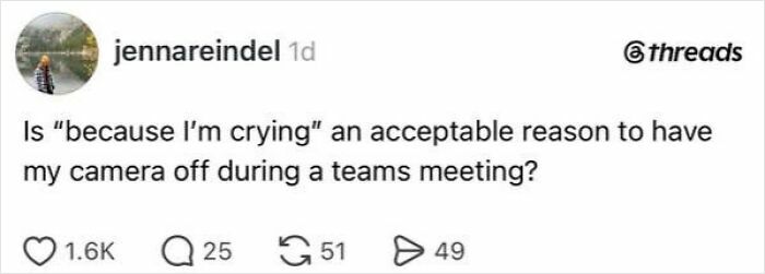 A social media post on having a job, asking if crying is a valid reason to turn off a camera during a Teams meeting.