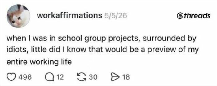 A text post stating that school group projects were a preview of the absurdity of having a job.