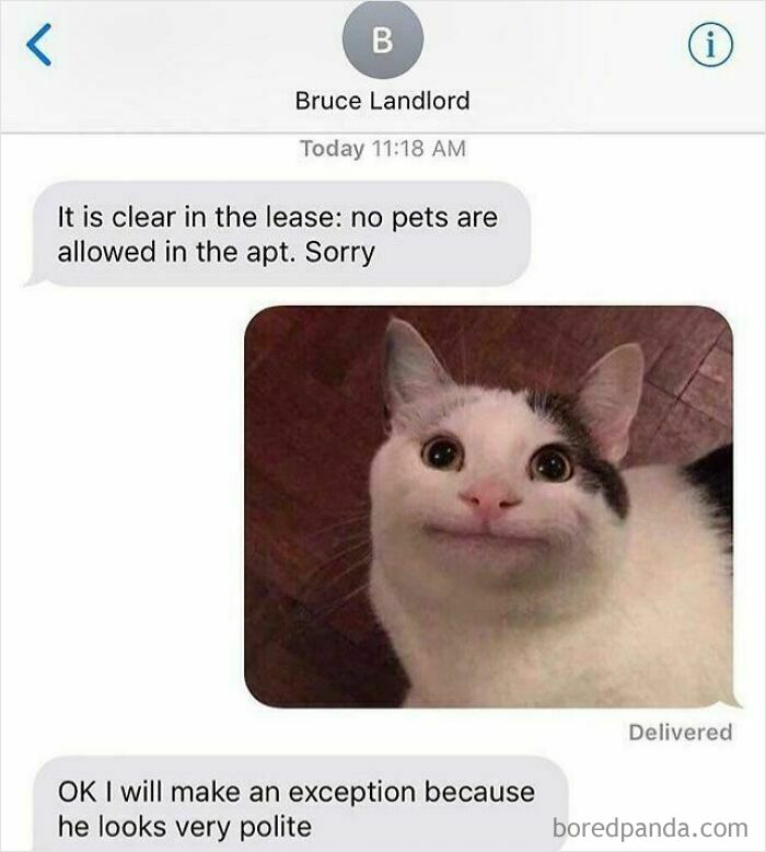 A screenshot of a text exchange where a landlord makes an exception for a polite cat in a no-pets policy, a funny text exchange.