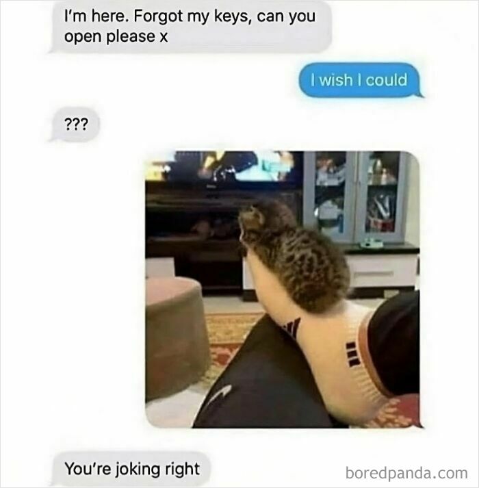 A screenshot of unhinged text exchanges showing a person who forgot keys, getting a picture of a kitten on an arm instead of help.