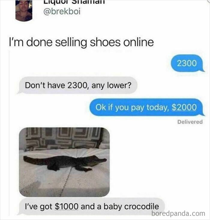 Funny text exchange offering a baby crocodile as part of a payment, highlighting unhinged text exchanges.