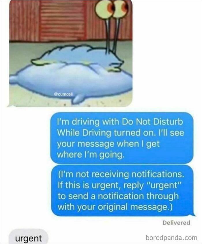 A fictional but hilarious text exchange with a Krusty Krab meme and an automatic Do Not Disturb While Driving message.