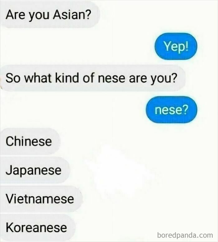 A fictional but hilarious text exchange about types of Asian descent, showing someone asking What kind of nese are you?