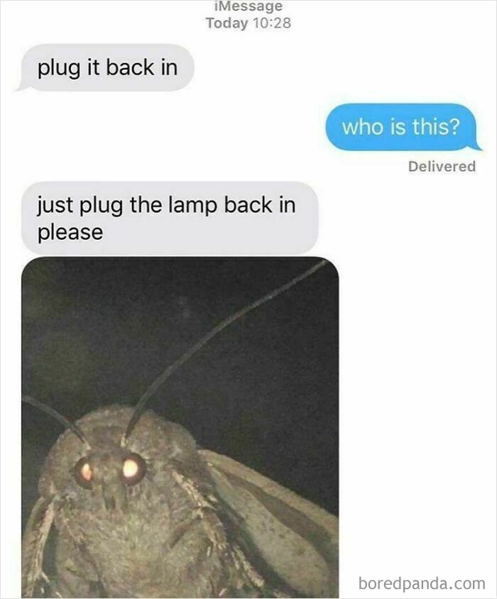 Fictional text exchange with a moth asking someone to plug in a lamp.