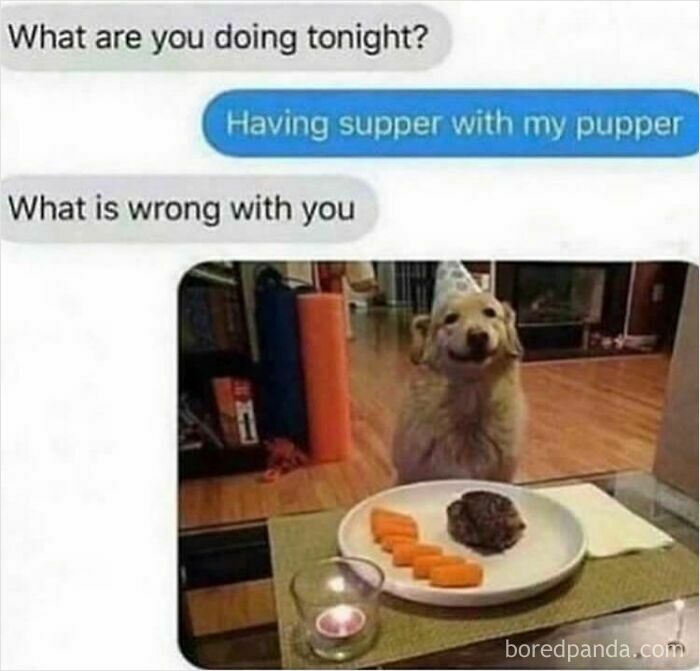 A hilarious text exchange showing a person having supper with their smiling dog wearing a party hat.