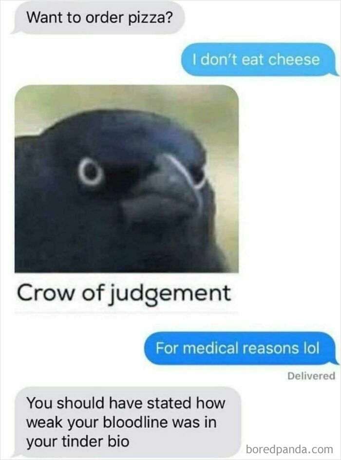 A hilariously unhinged text exchange about not eating cheese and a crow of judgement. These fictional text exchanges are truly hilarious.