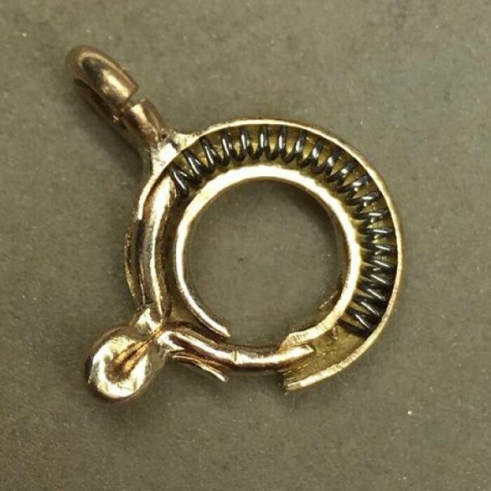 A surprising photo of an object cut in half, showing the internal spring mechanism of a golden clasp or clip.