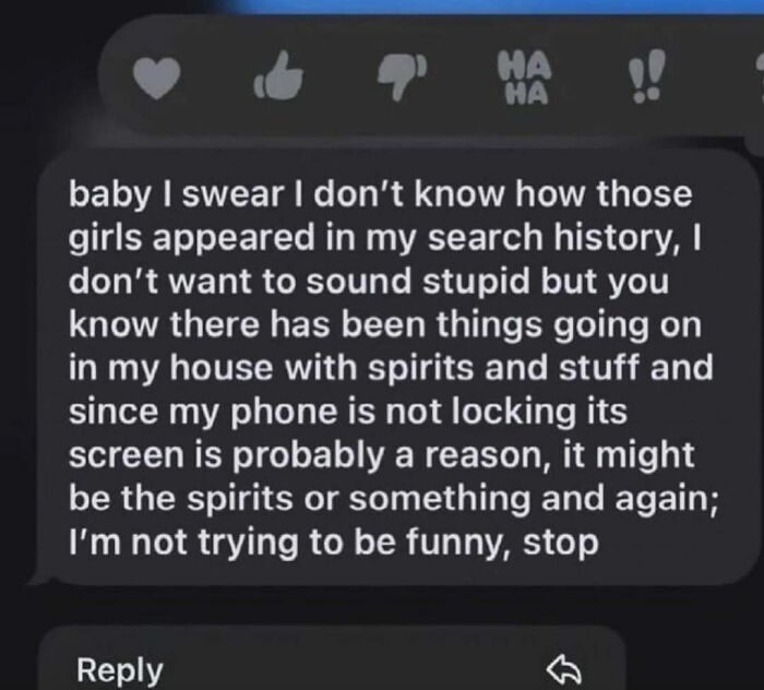 A screenshot of a text message with an unhinged explanation about search history for a mood-changing meme.