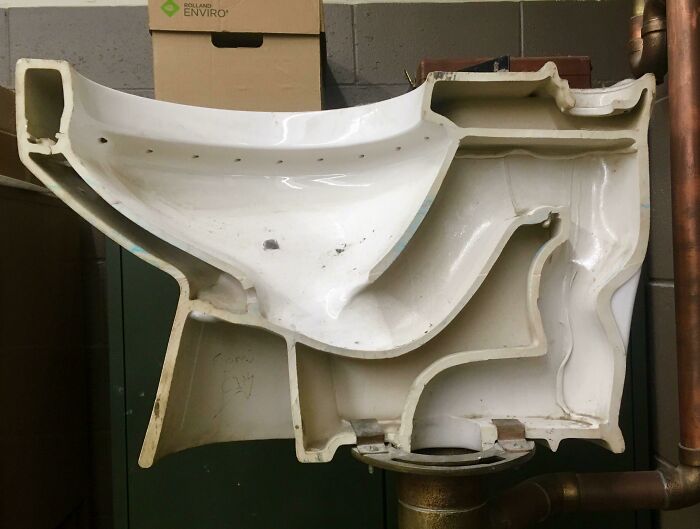 A detailed view of an object cut in half, showcasing the internal structure and surprising design of a toilet bowl.