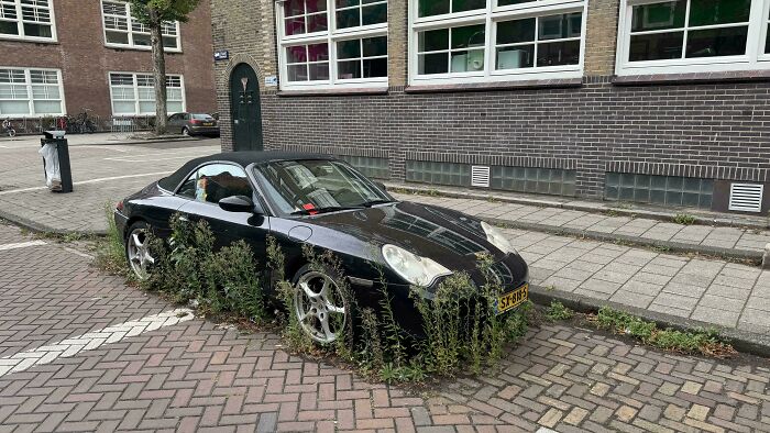 People exploring abandoned places found an unexpected car overgrown with weeds.