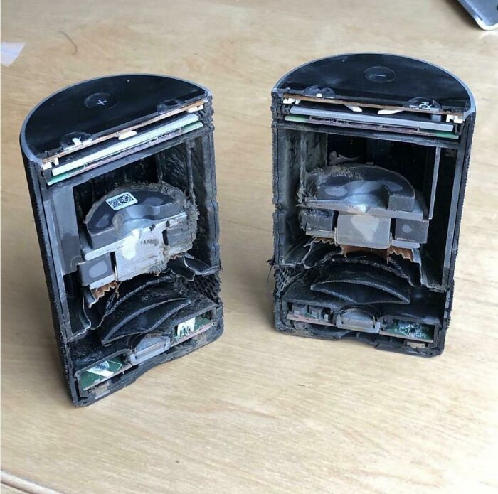 An interesting photo of an object cut in half, showing the cross-section of a speaker revealing its internal components.