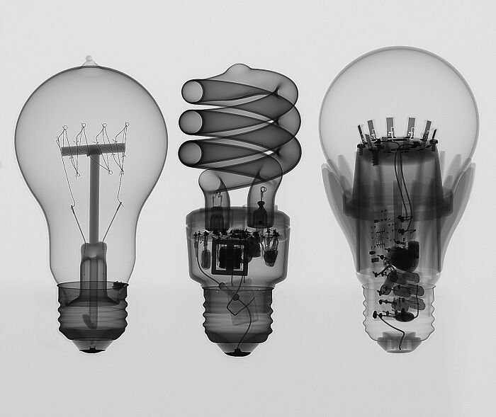 X-rays of three different light bulbs cut in half, an interesting and surprising photo of objects cut in half.
