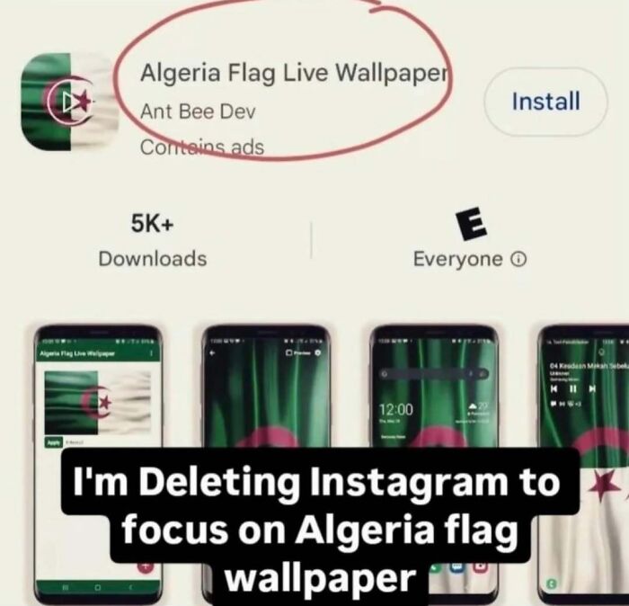 A meme about deleting Instagram for an Algeria flag live wallpaper. This unhinged meme is meant to change your mood.