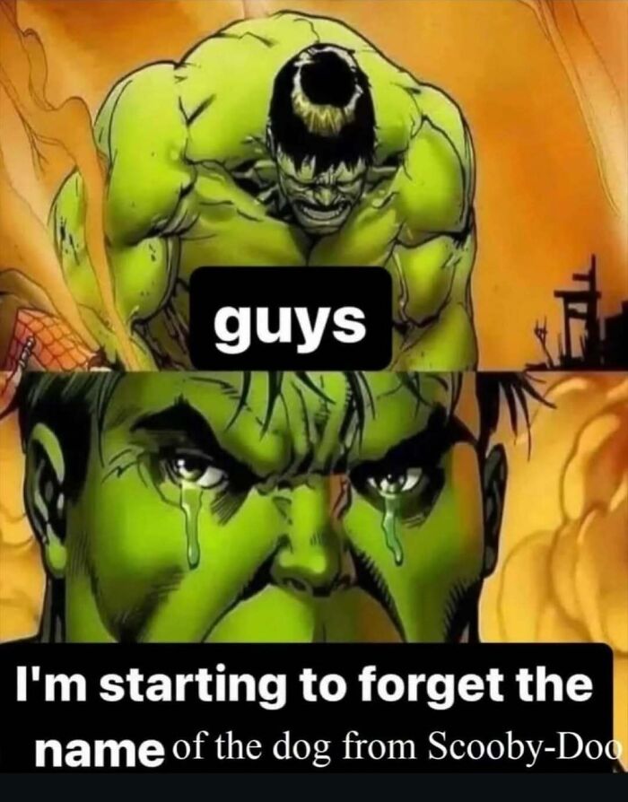 An unhinged meme depicting the Hulk crying, having forgotten Scooby-Doo's name. It might change your mood.