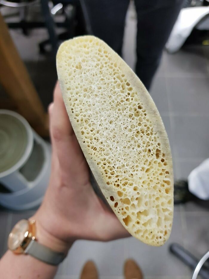 Surprising photo of an object cut in half, revealing its internal porous structure, held by a hand.