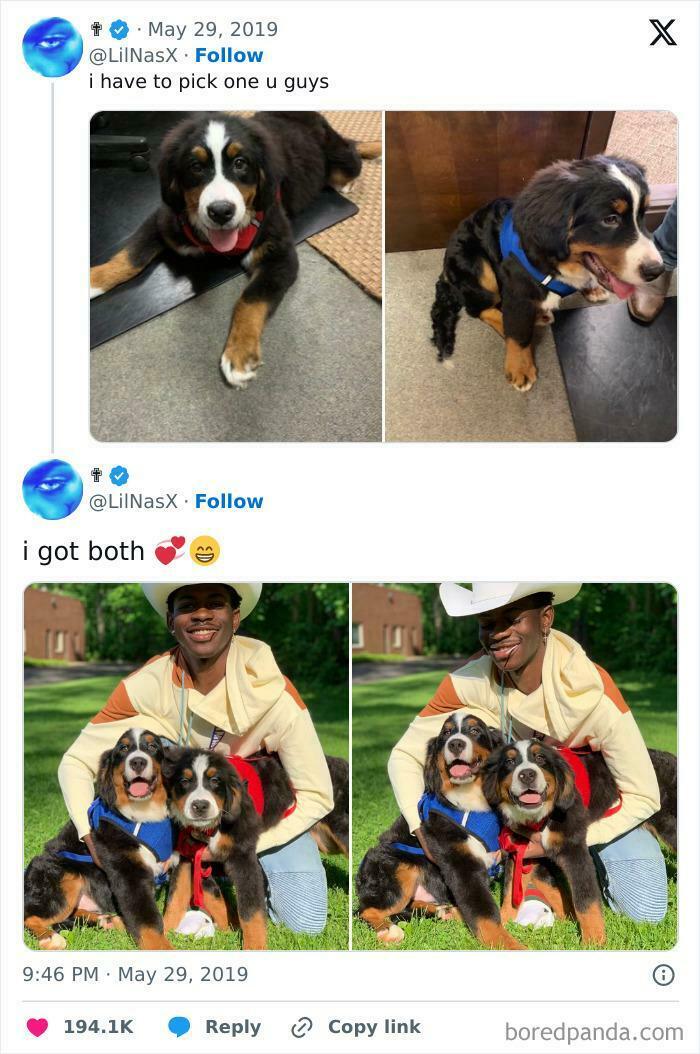 A Twitter screenshot showing Lil Nas X's unexpected character development, from choosing one puppy to happily adopting both, posing with his new pets.