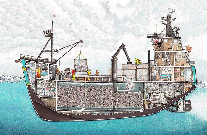 Interesting photo of an object cut in half: a detailed cross-section illustration of a fishing boat.