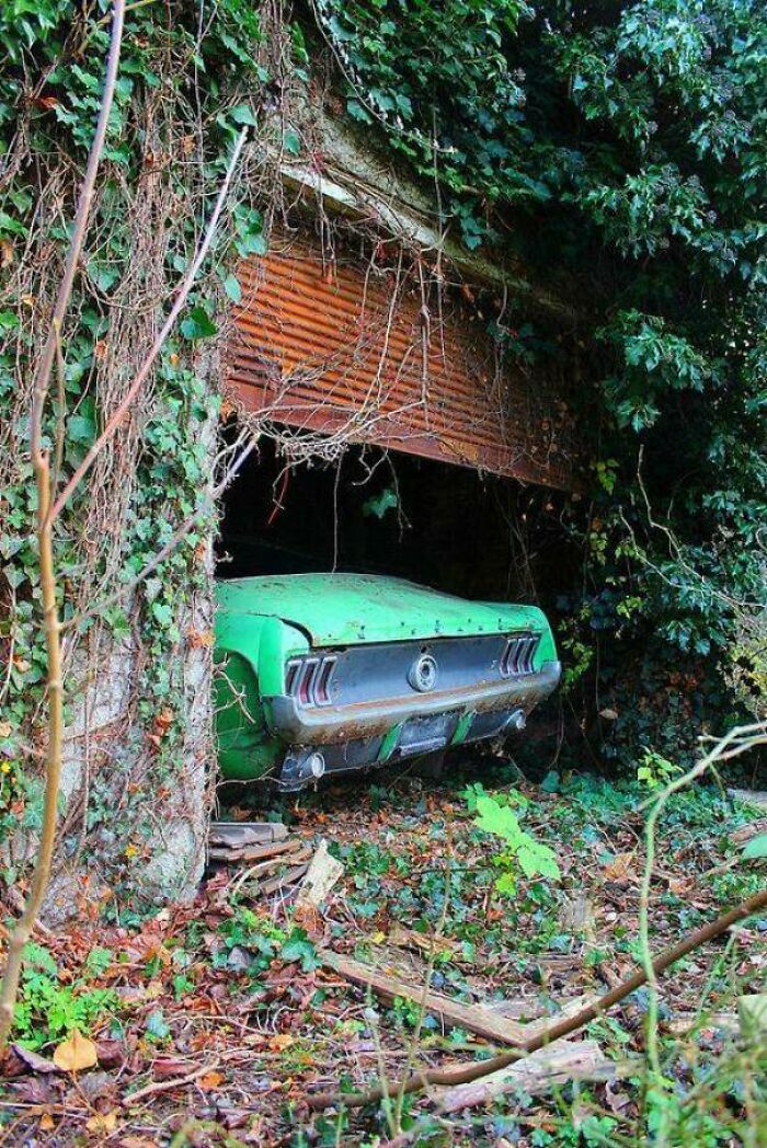 An abandoned green car, partially hidden by overgrown vines and foliage, exploring abandoned places.